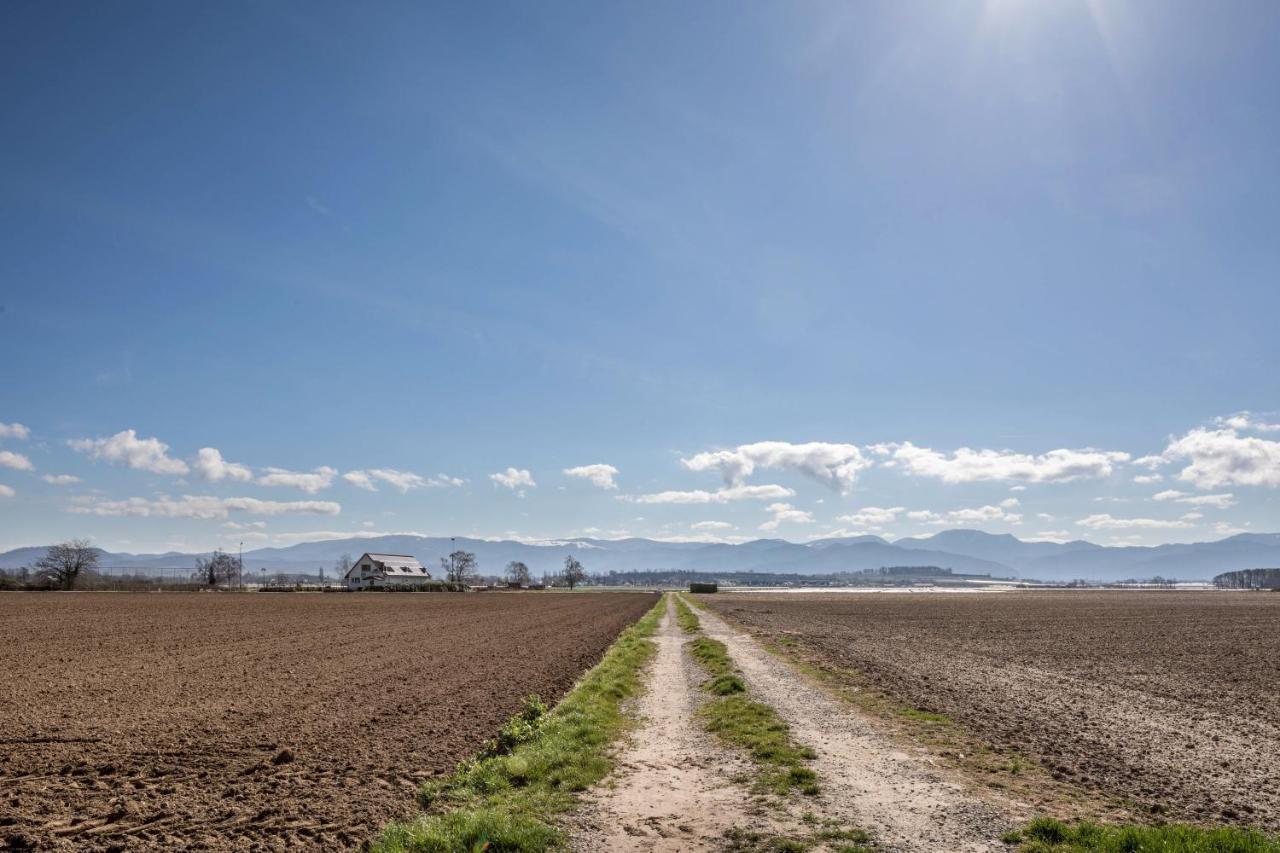 Dreilaendereck Lägenhet Hartheim Exteriör bild